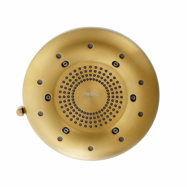 Brondell Nebia Corre Four-Function Fixed Shower Head, Brushed Gold N400R0BG